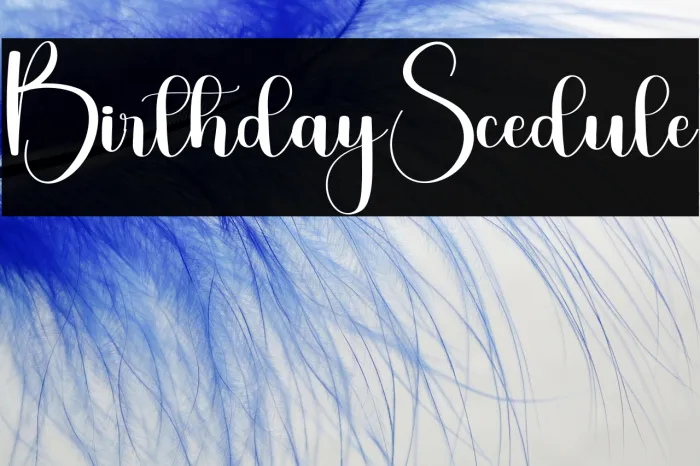 Birthday Scedule Example 3