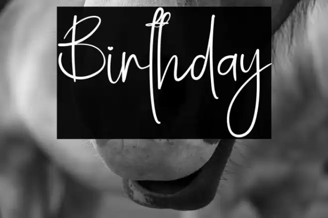 Birthday Schriftart examples