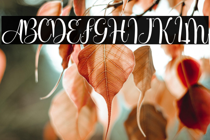 Birthella Demo Example 1