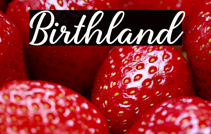 Birthland Example 3