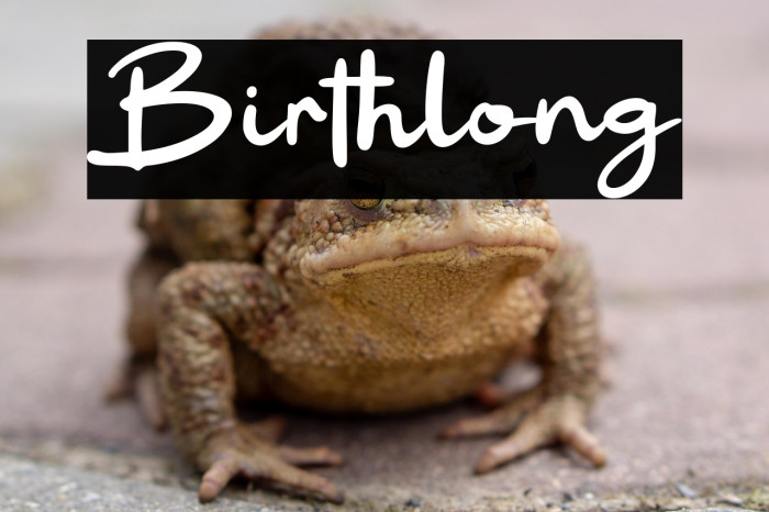 Birthlong Example 1