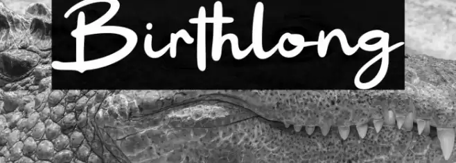 Birthlong Fonte examples