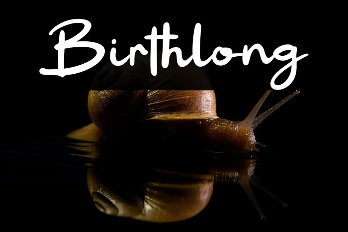 Birthlong Example 3