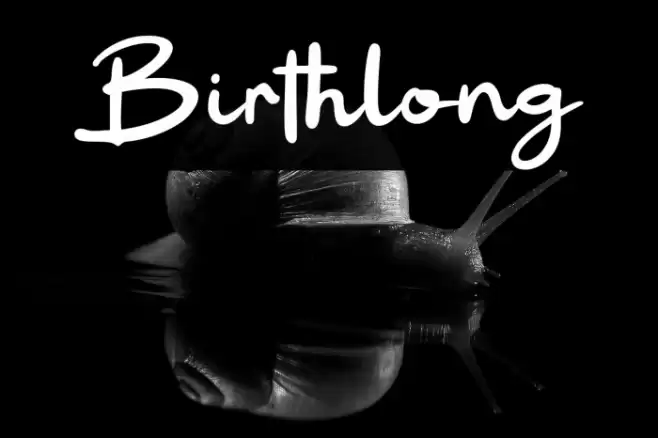 Birthlong Fonte examples