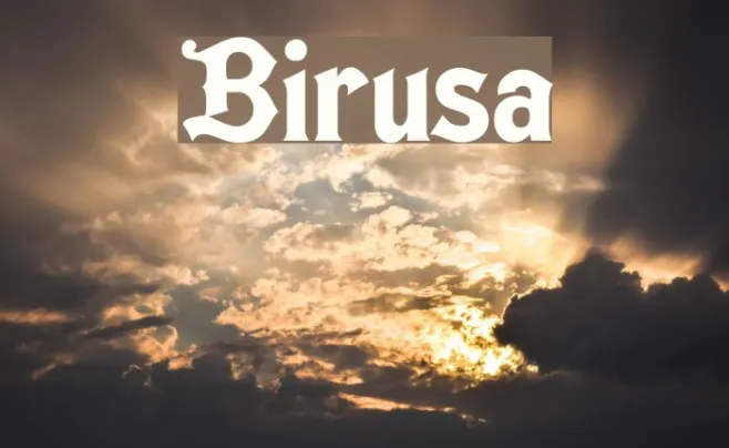 Birusa Example 1