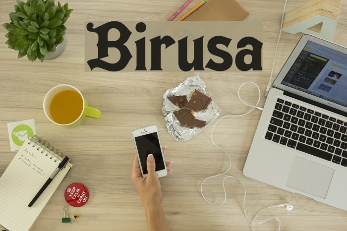 Birusa Font examples