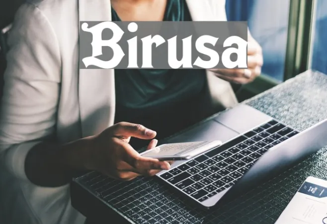 Birusa Example 3