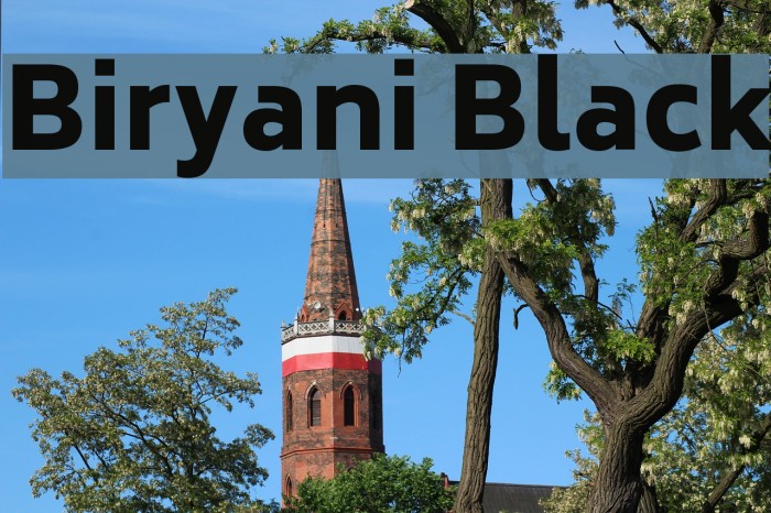 Biryani Black Font examples