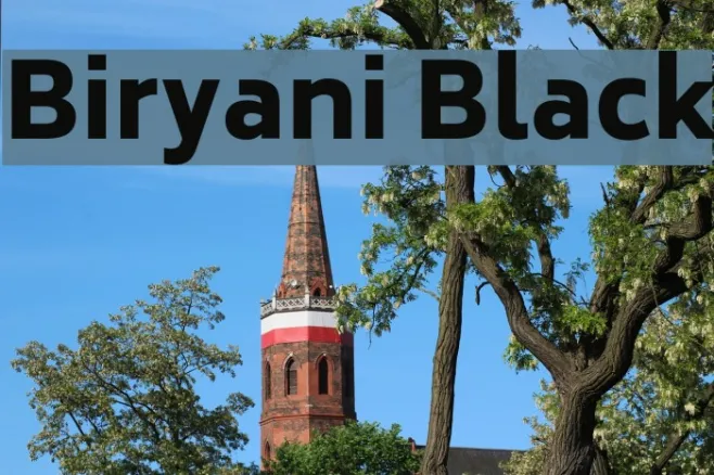 Biryani Black Example 1