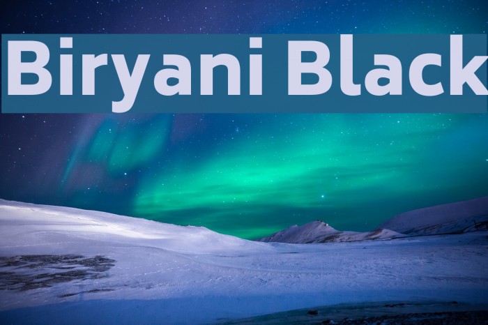 Biryani Black Font examples