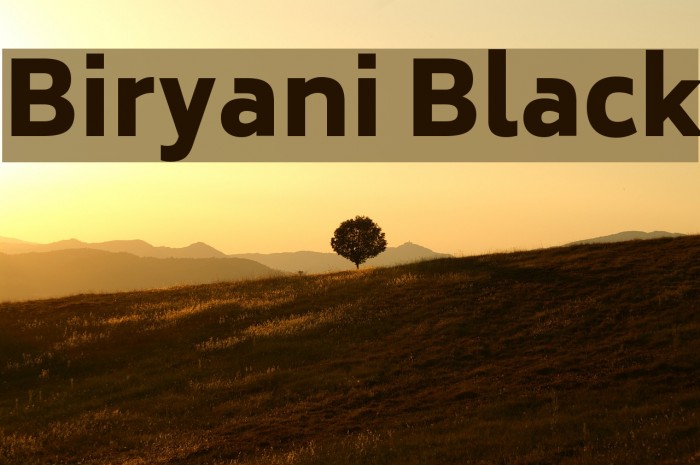 Biryani Black Font examples