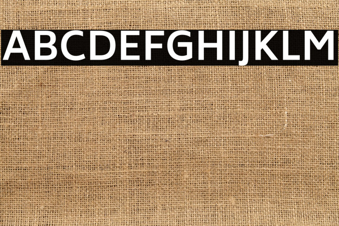 Biryani Bold Example 1