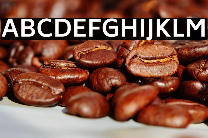 Biryani Bold Example 2