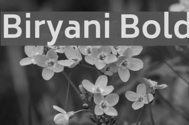 Biryani Bold Font examples