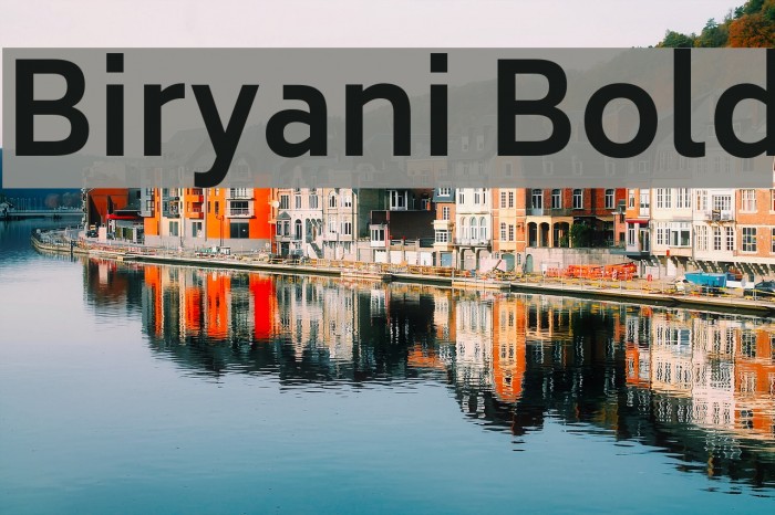 Biryani Bold Font examples