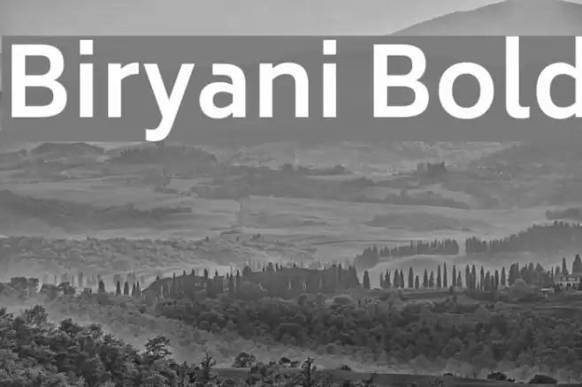 Biryani Bold Font examples
