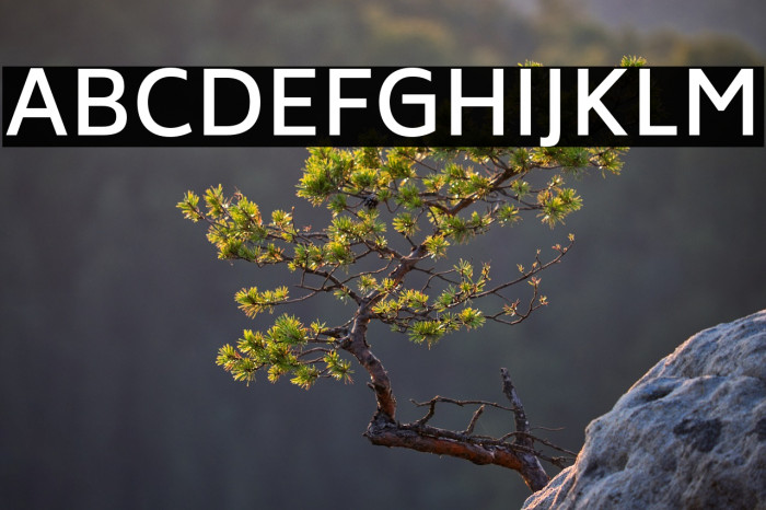 Biryani DemiBold Example 1