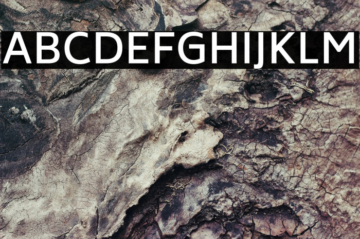 Biryani DemiBold Example 2