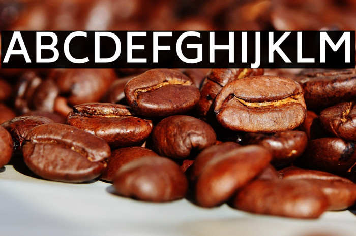 Biryani DemiBold Example 3