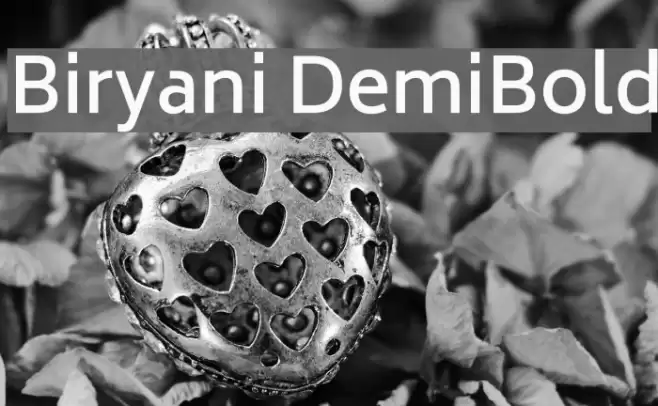 Biryani DemiBold Font examples