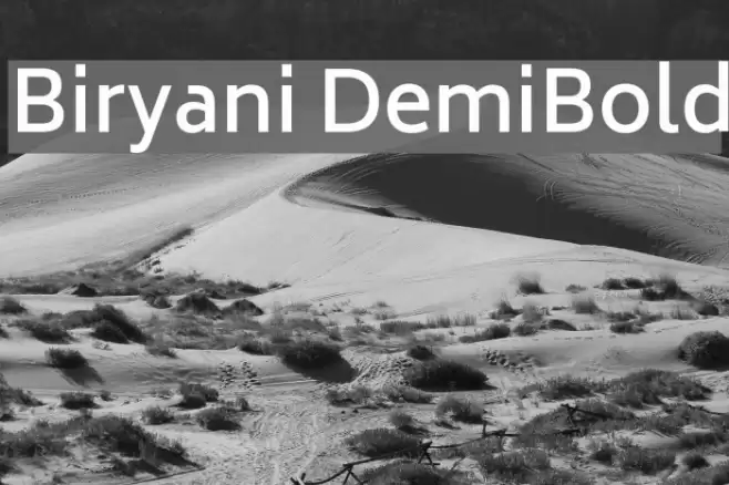 Biryani DemiBold Font examples