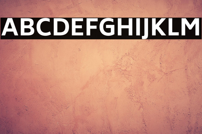 Biryani ExtraBold Example 1