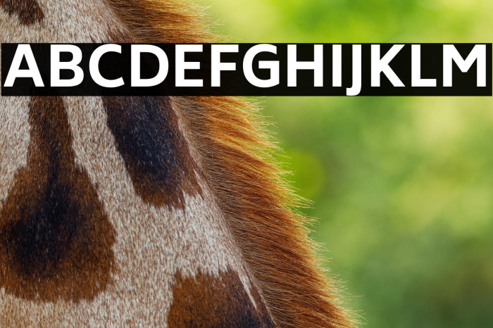 Biryani ExtraBold Example 3