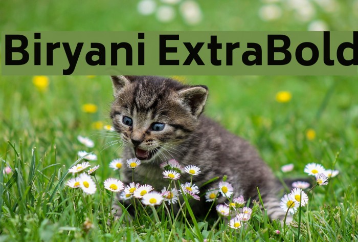 Biryani ExtraBold Font examples