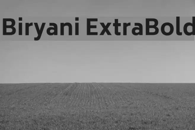 Biryani ExtraBold Font examples