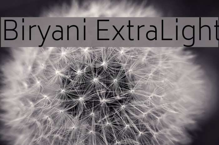 Biryani ExtraLight Font examples