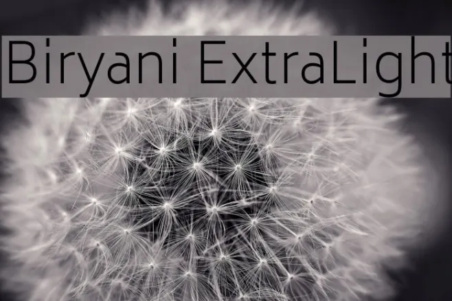 Biryani ExtraLight Example 2