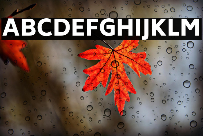 Biryani Heavy Example 1