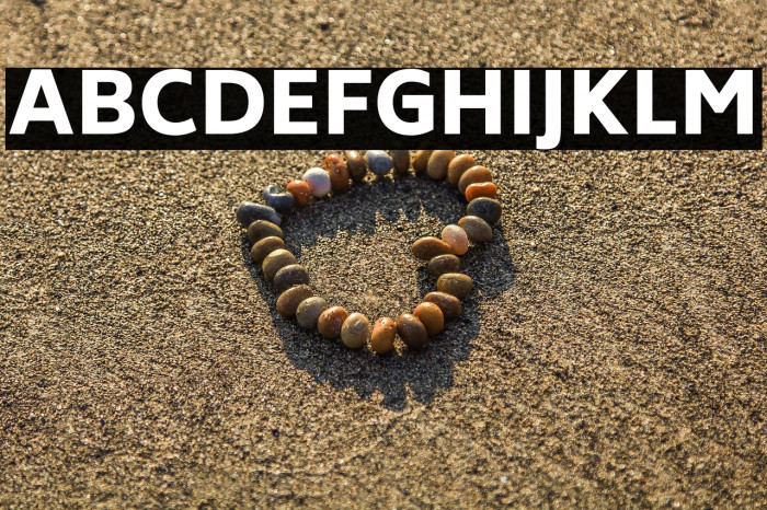 Biryani Heavy Example 2