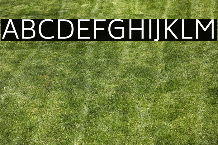 Biryani Light Example 1