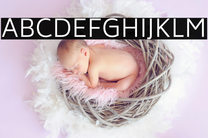 Biryani Light Example 3