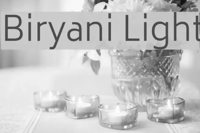Biryani Light examples