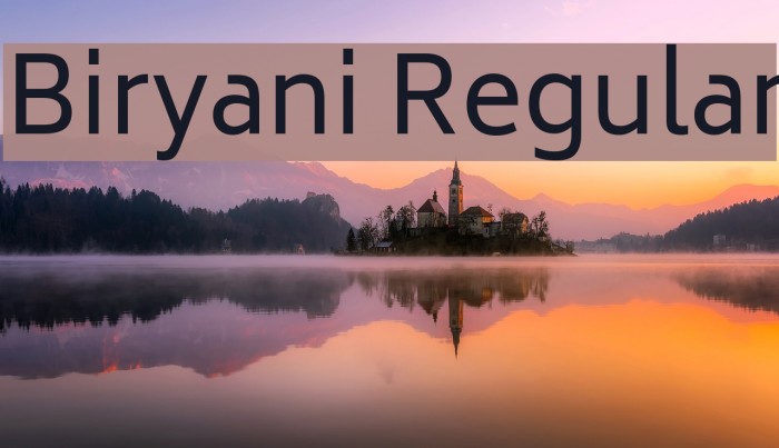 Biryani Regular Example 2