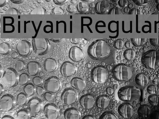 Biryani Regular Font examples