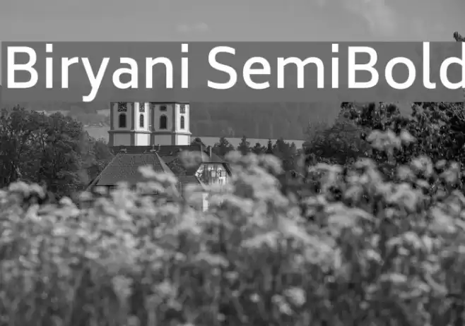 Biryani SemiBold Font examples