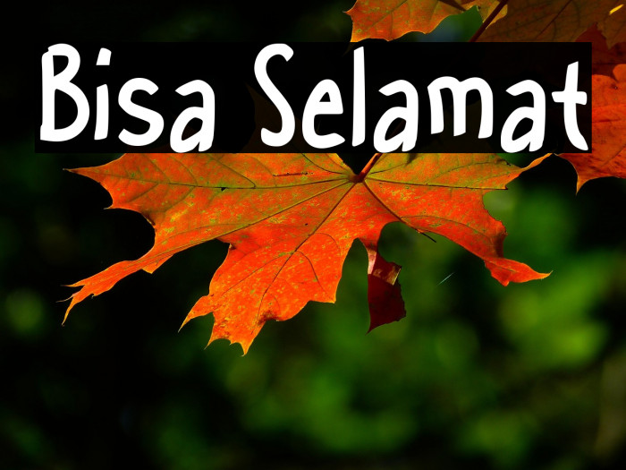 Bisa Selamat Example 2