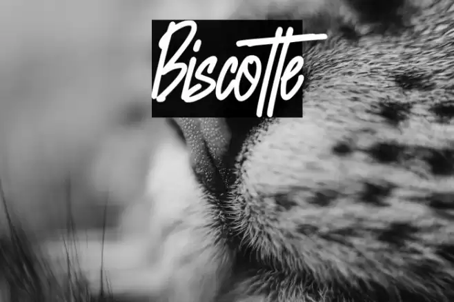 Biscotte Caratteri examples