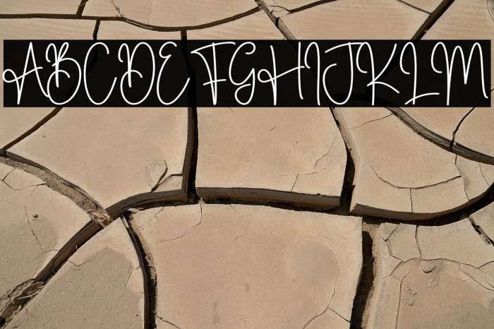 Biscuit Christmas Example 2