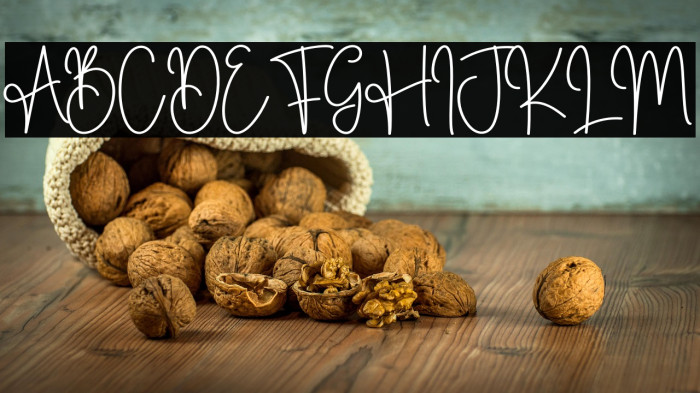 Biscuit Christmas Example 3