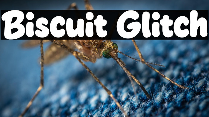Biscuit Glitch Example 3
