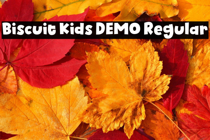 Biscuit Kids DEMO Regular Example 1