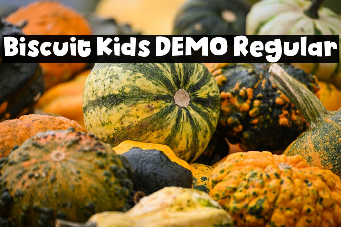 Biscuit Kids DEMO Regular Example 2