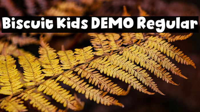 Biscuit Kids DEMO Regular Example 3