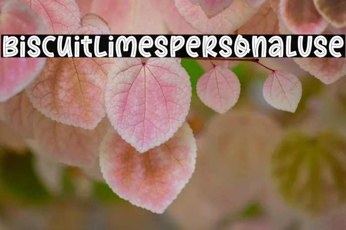 Biscuit Limes Personal Use Example 2