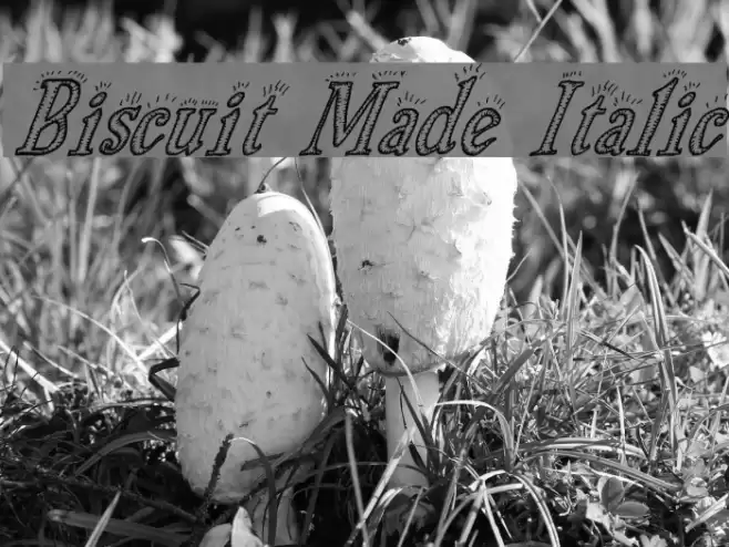 Biscuit Made Italic Font examples