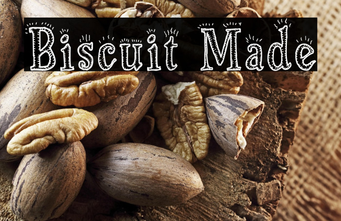 Biscuit Made Example 3